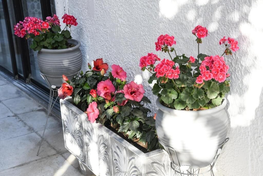 Photo of Outdoor in Petaloudes