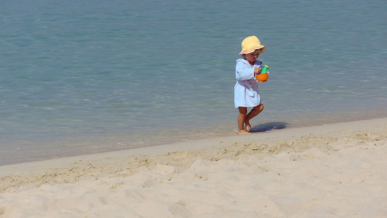 Photo of Others in Parelia