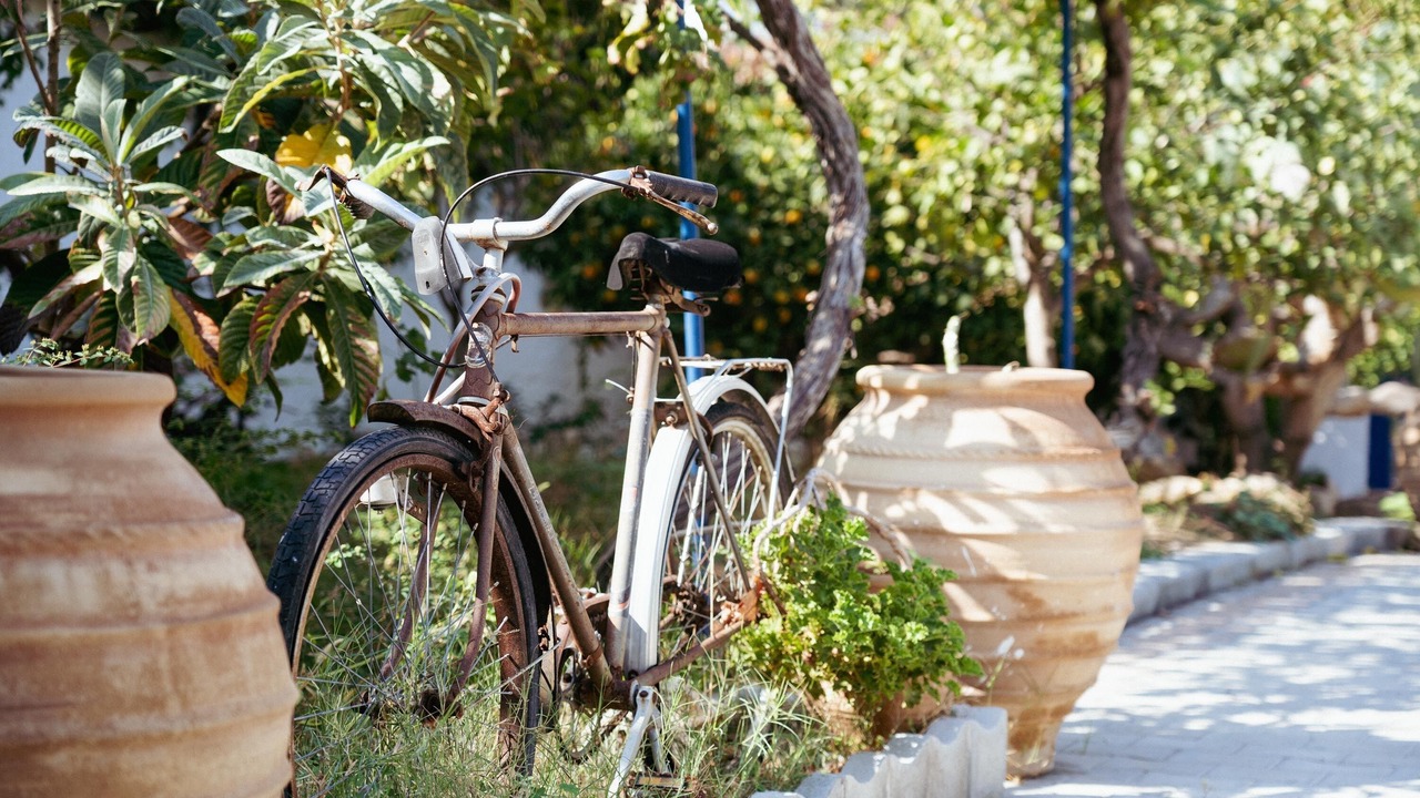 Photo of Outdoor in Stegna