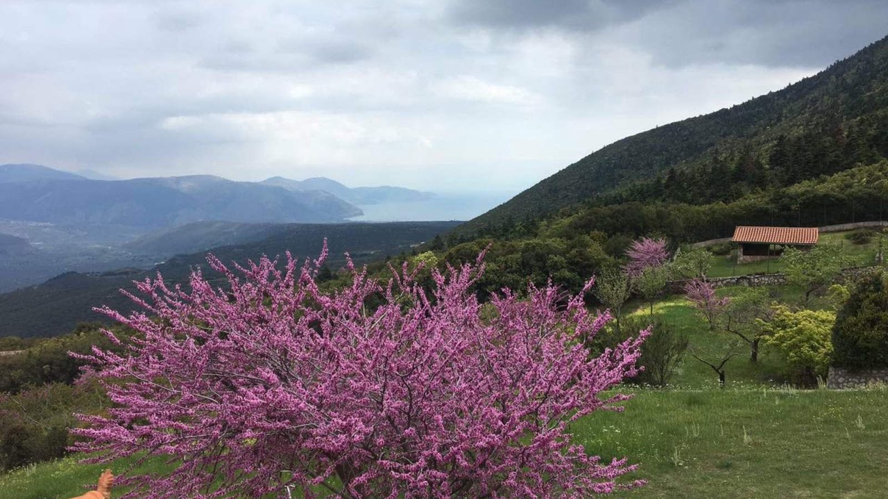Photo of Outdoor in Amfissa