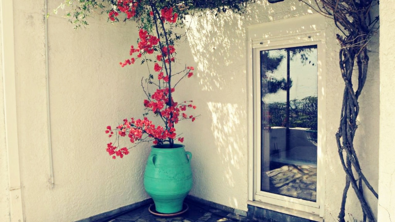 Photo of Outdoor in Ferma