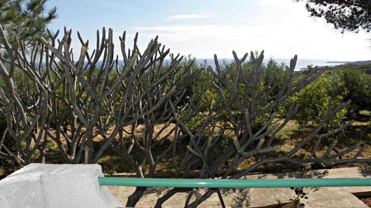 Photo of Outdoor in Ferma