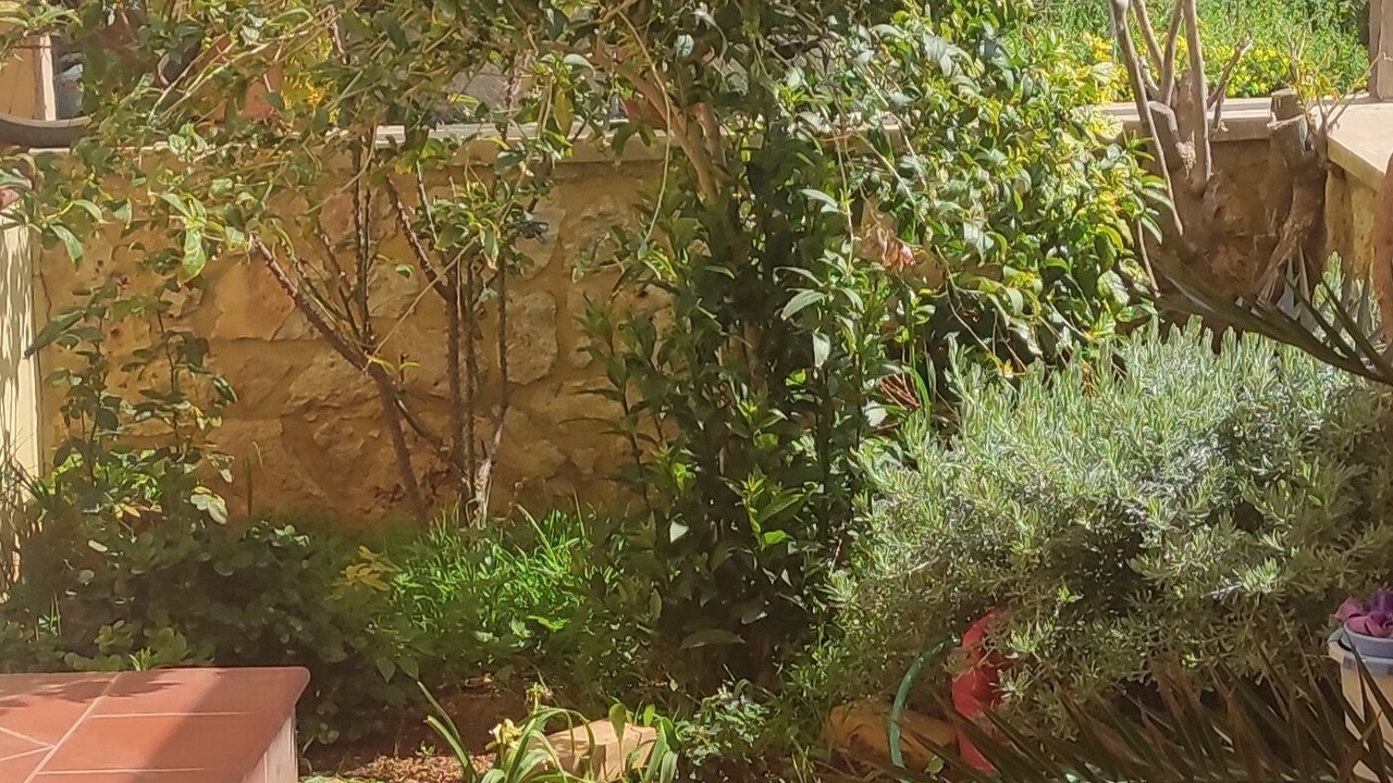 Photo of Outdoor in Sitia