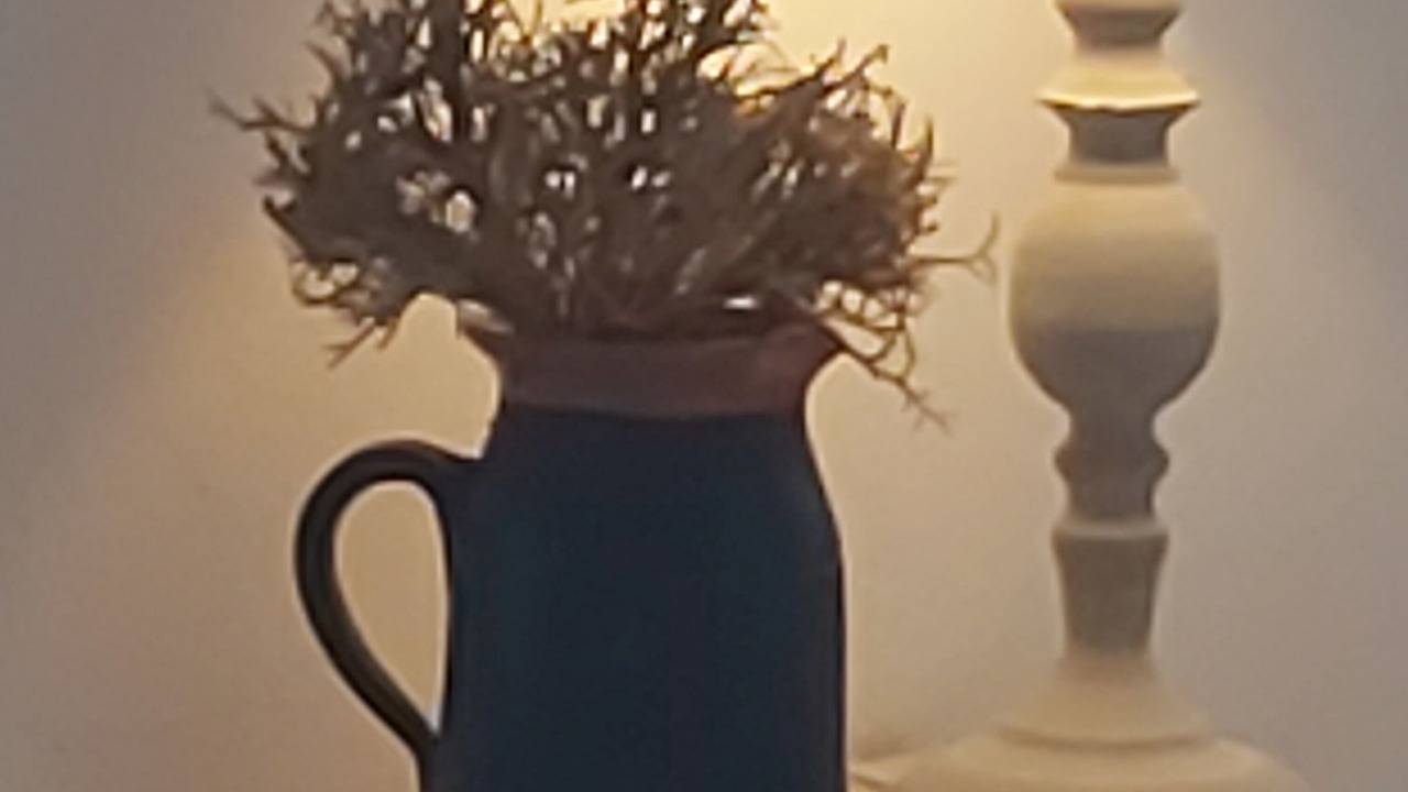 Photo of Others in Stelida