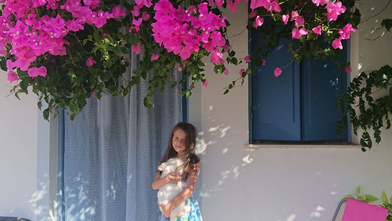 Photo of Outdoor in Mochlos