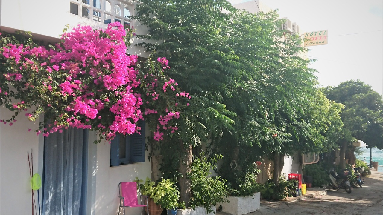 Photo of Outdoor in Mochlos