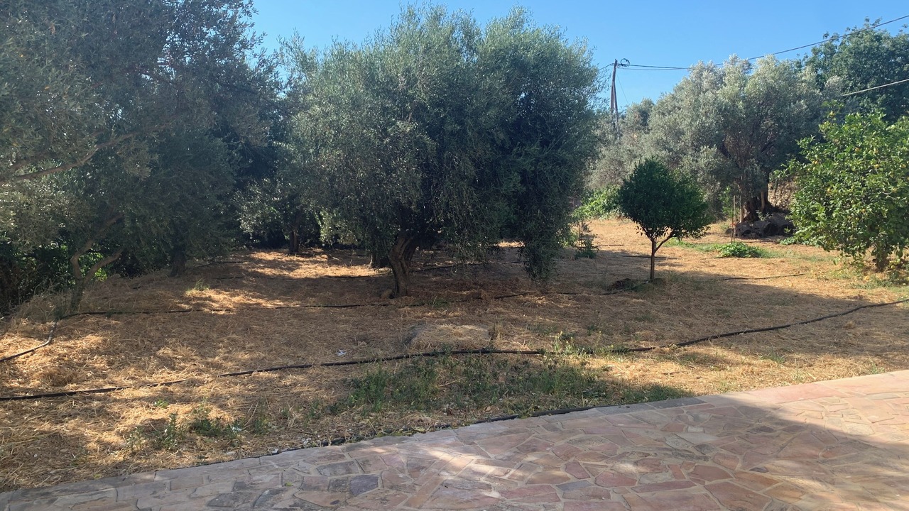 Photo of Outdoor in Ionia