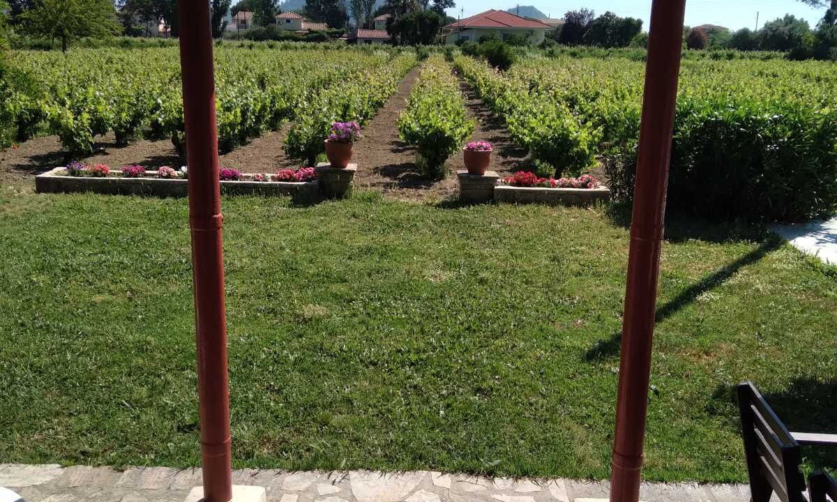 Photo of Patio Balcony in Zakynthos