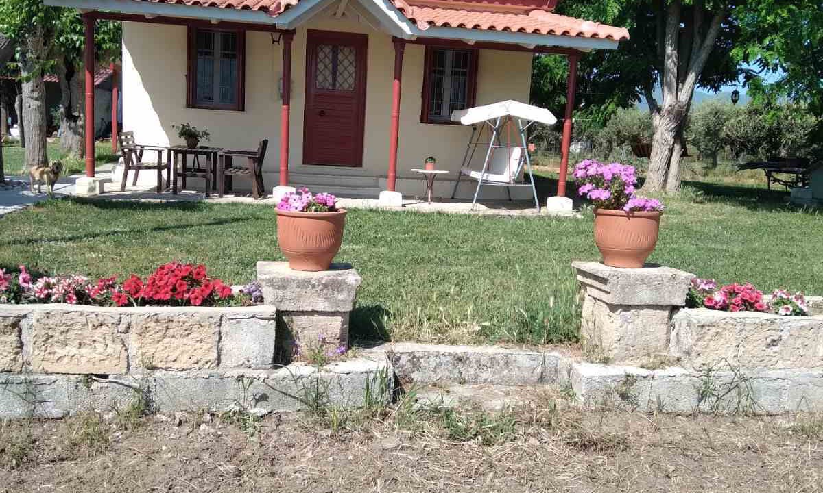 Photo of Outdoor in Zakynthos