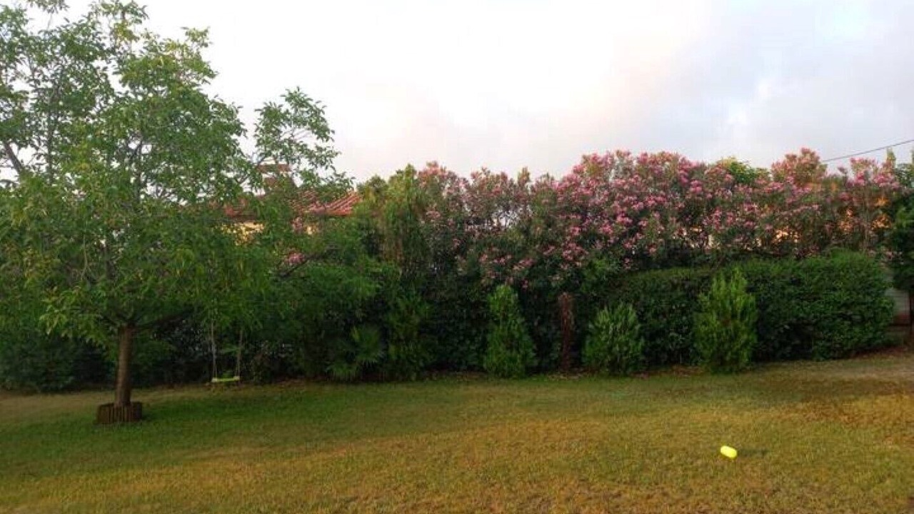 Photo of Outdoor in Leptokaria
