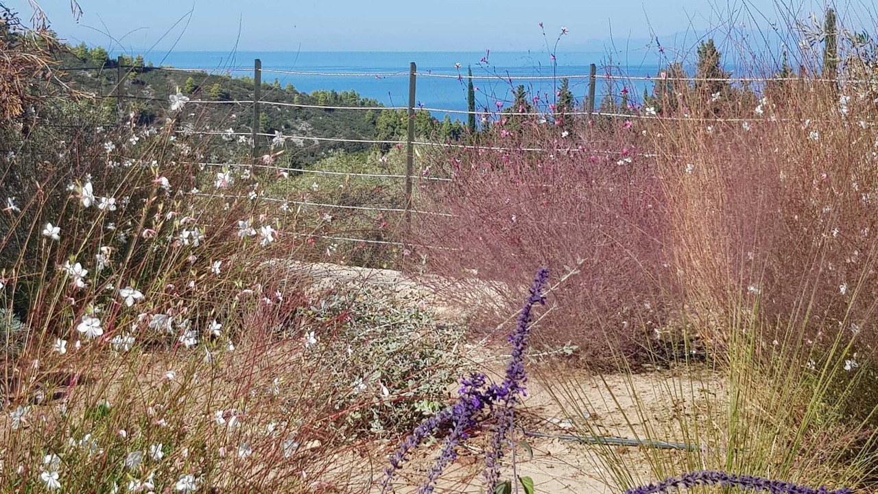 Photo of Others in Agios Nikitas