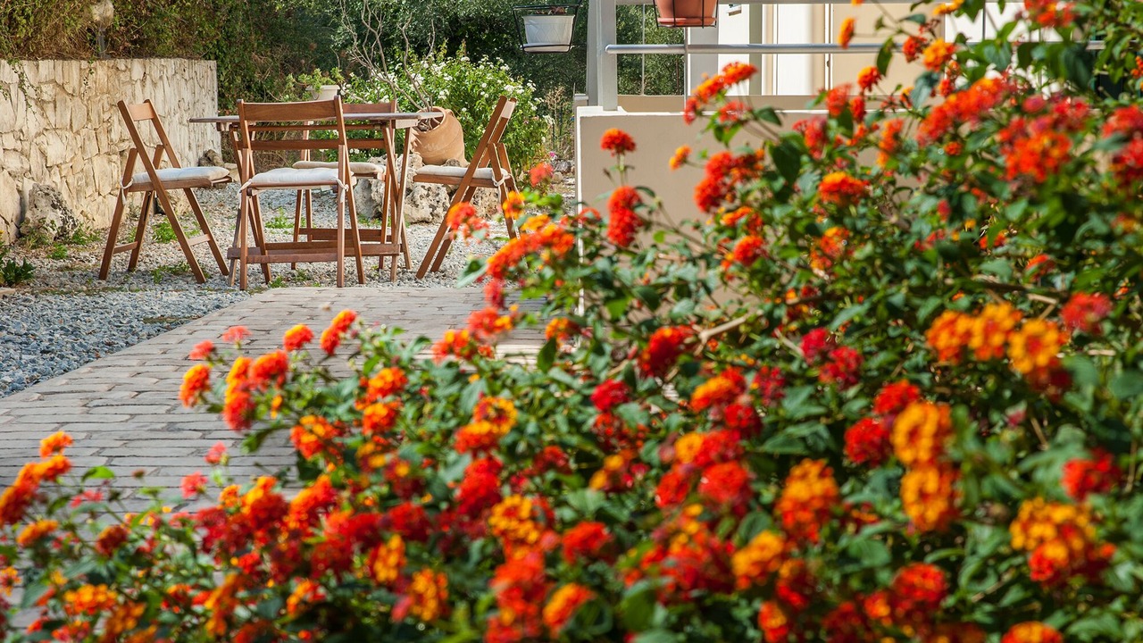 Photo of Outdoor in Exopoli
