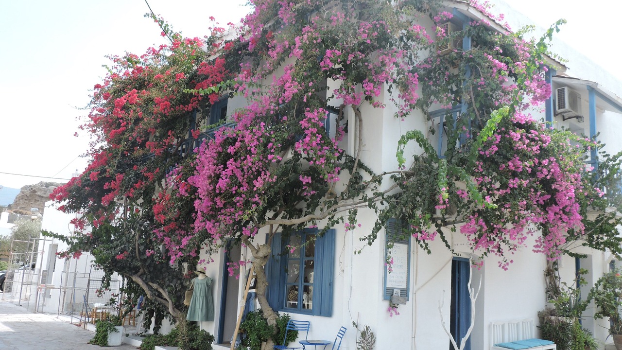 Photo of Outdoor in Ierapetra