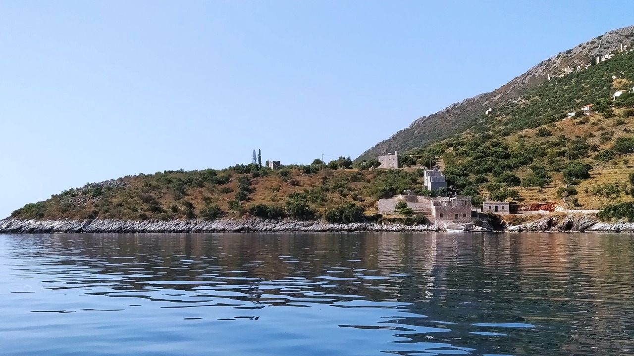 Photo of Others in Omales