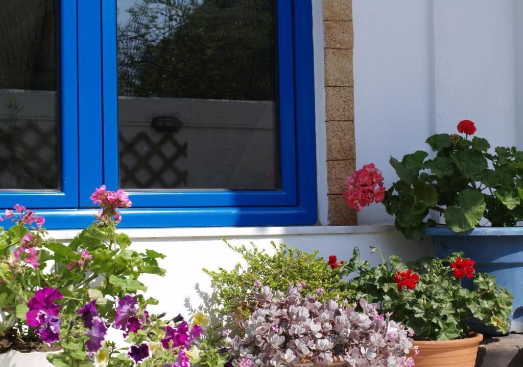 Photo of Outdoor in Ixia