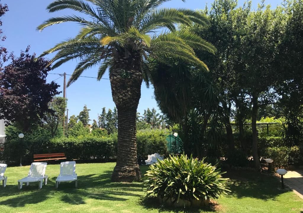 Photo of Outdoor in Violi Charaki