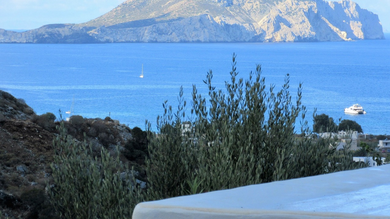 Photo of Others in Tholaria