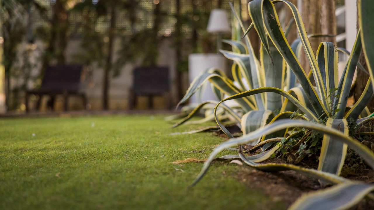 Photo of Outdoor in Schinias