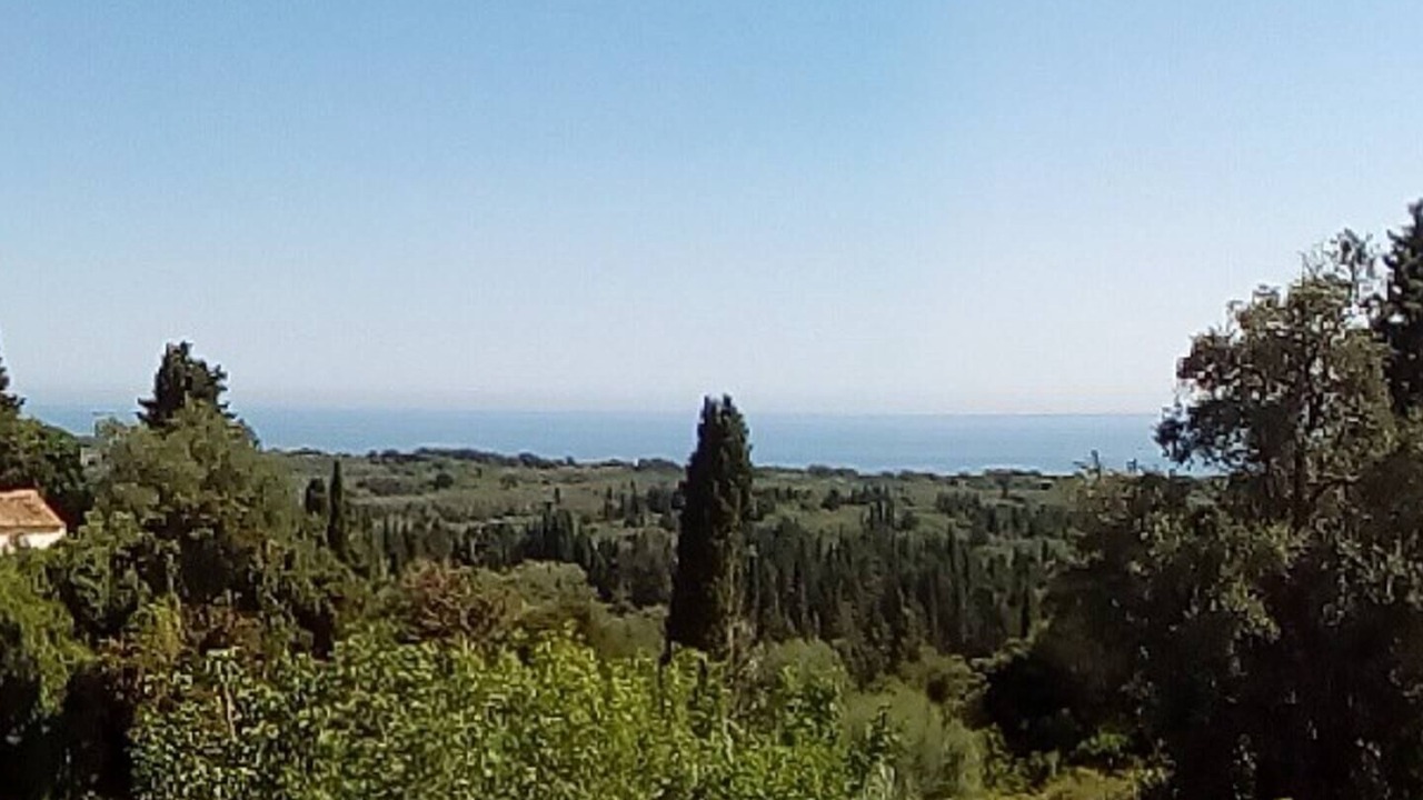 Photo of Others in Argyrades