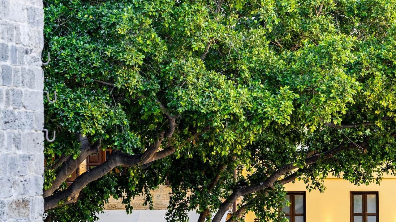 Photo of Outdoor in Psinthos
