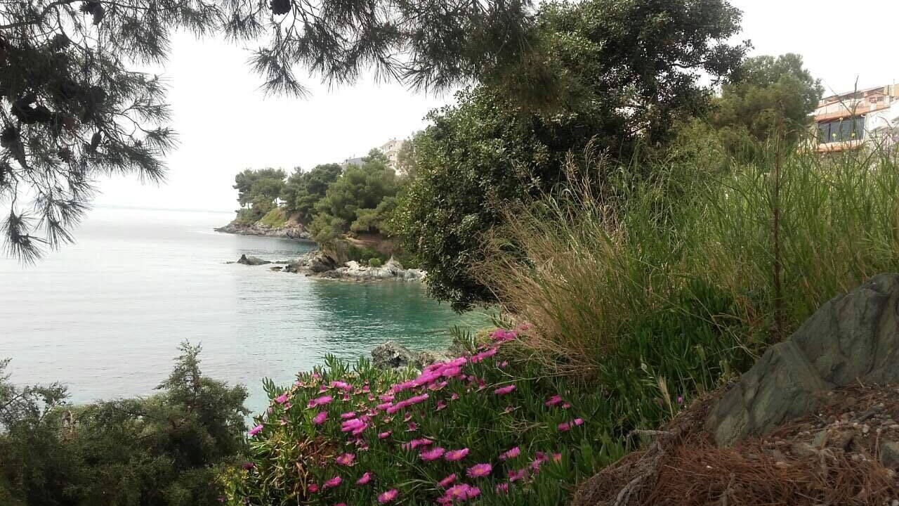 Photo of Others in Neos Marmaras