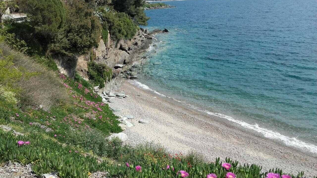 Photo of Others in Neos Marmaras