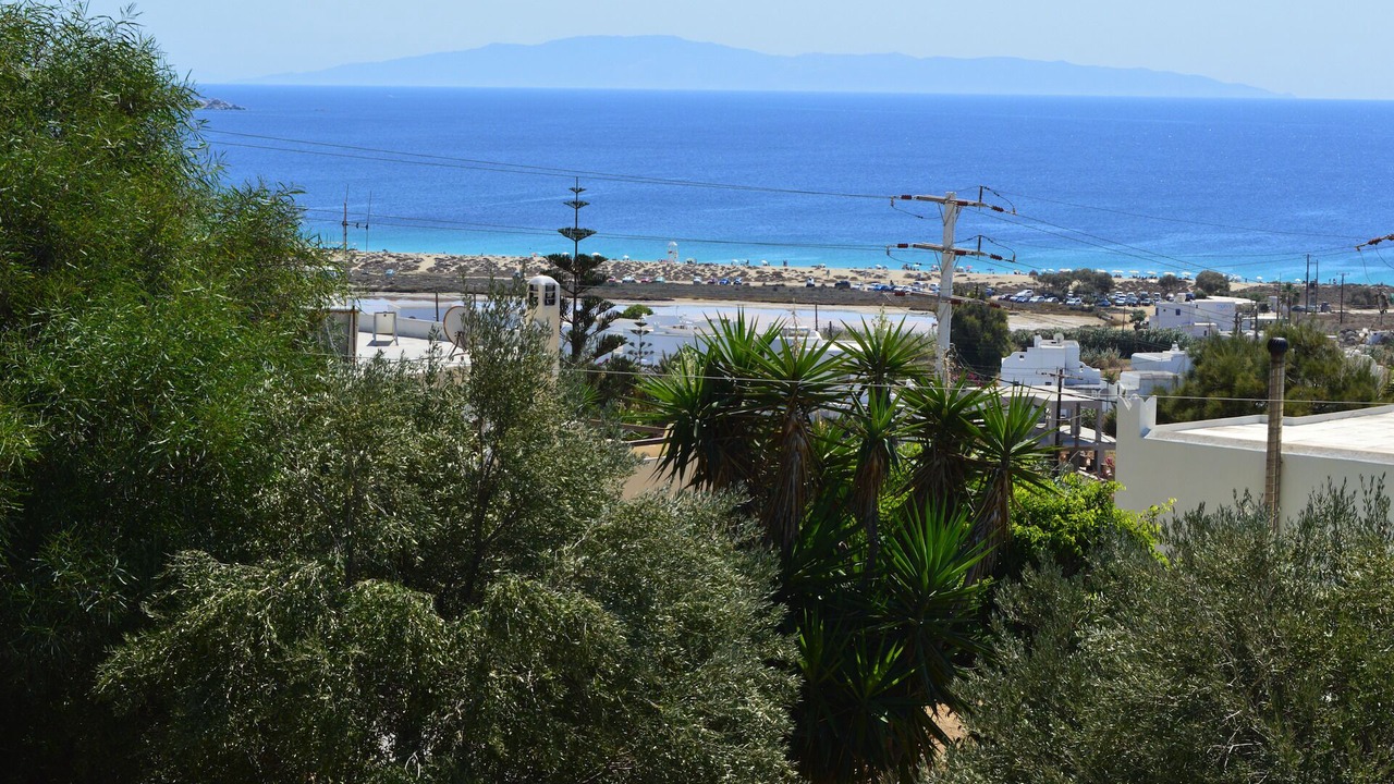 Photo of Others in Stelida