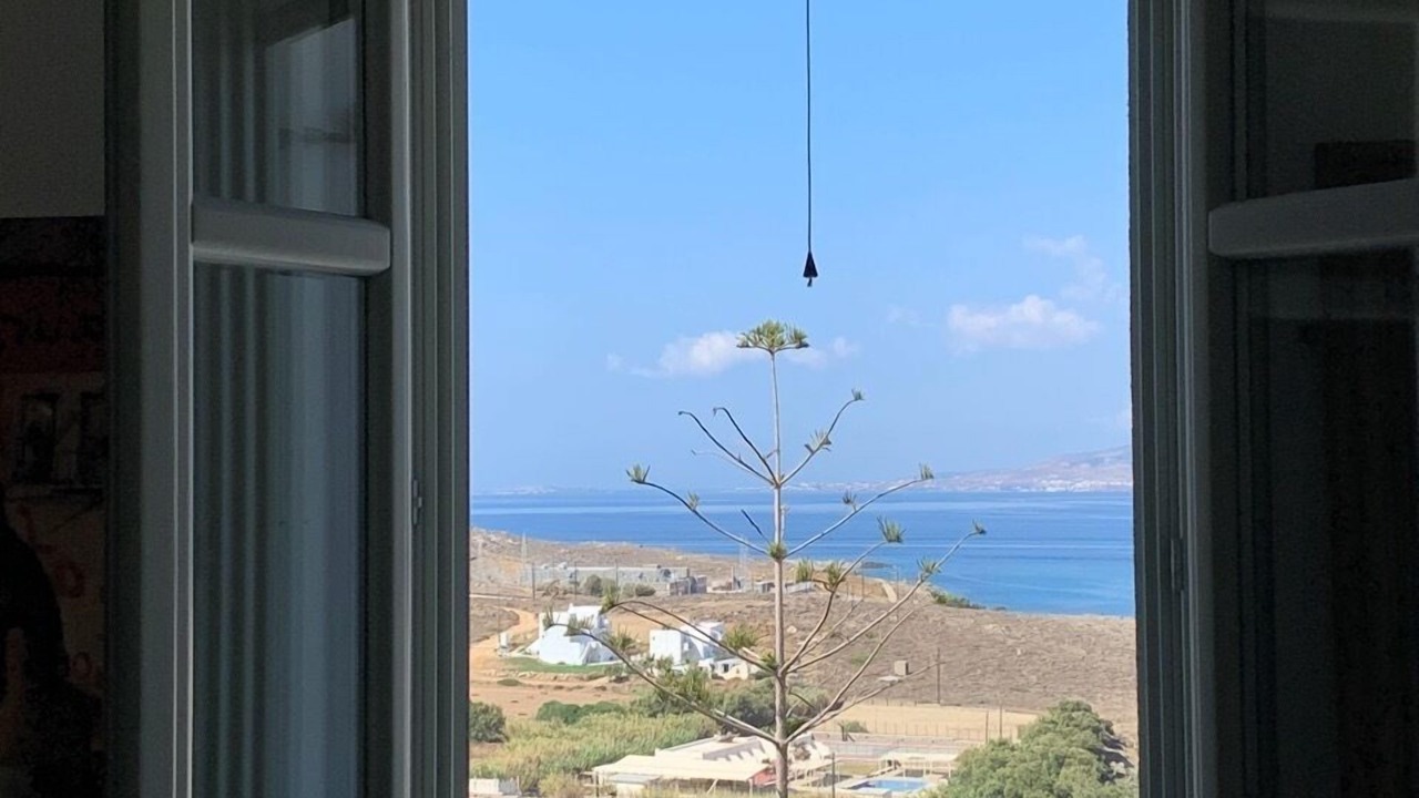 Photo of Others in Stelida