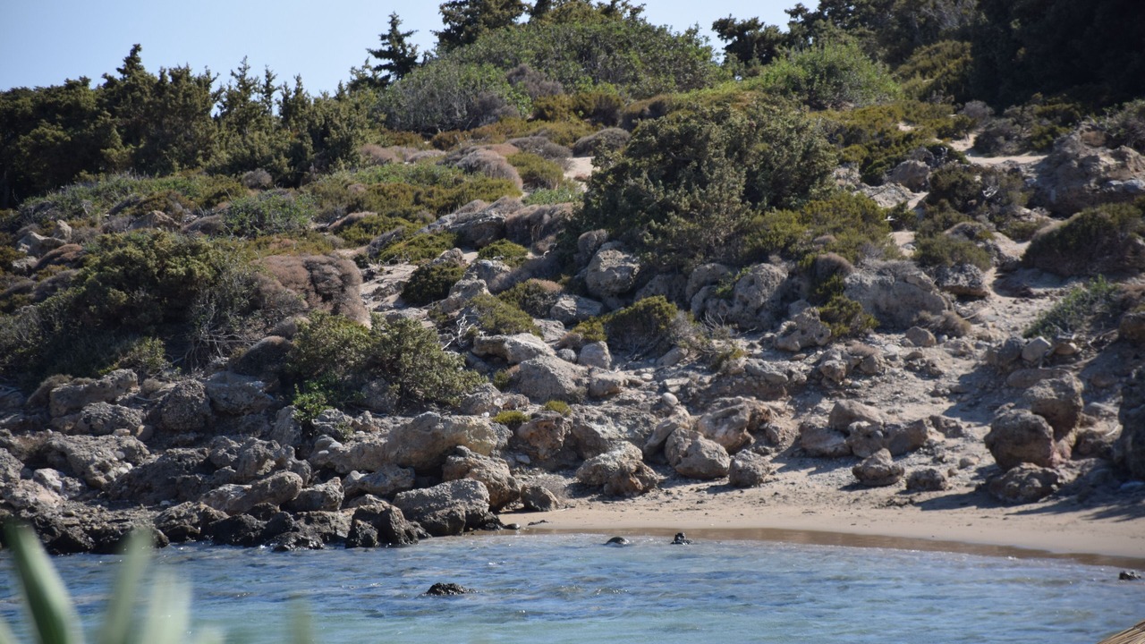 Photo of Others in Gialos