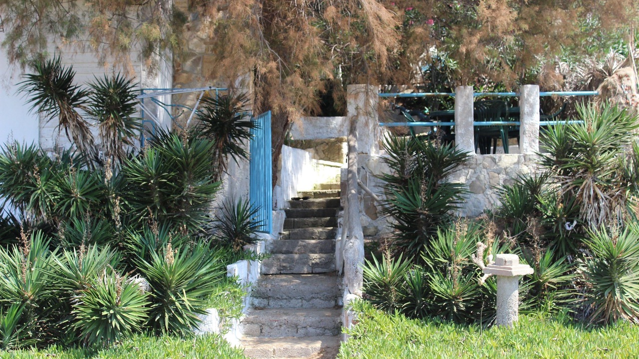 Photo of Outdoor in Skafidia