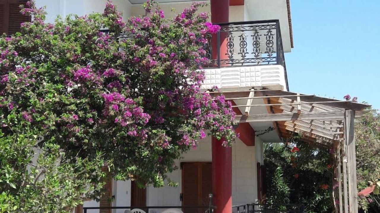 Photo of Outdoor in Vigla