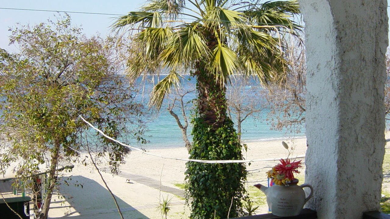 Photo of Outdoor in Thasos Town