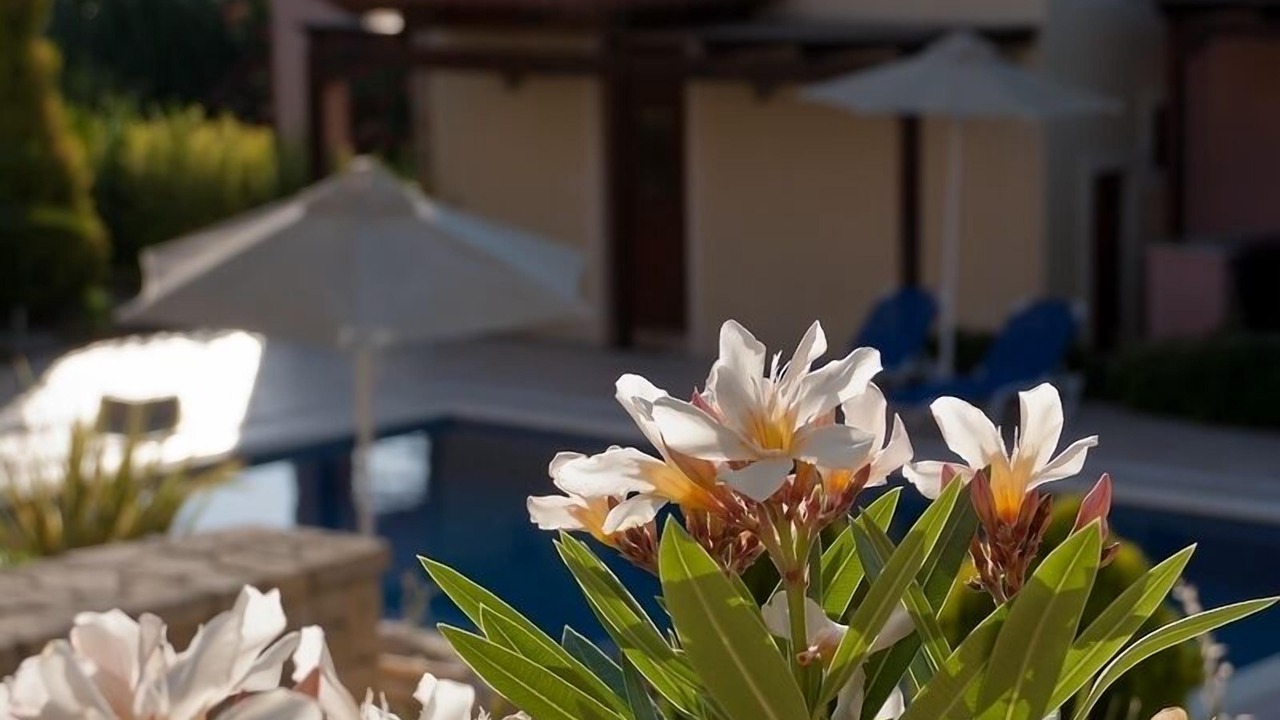 Photo of Outdoor in Agios Vasileios