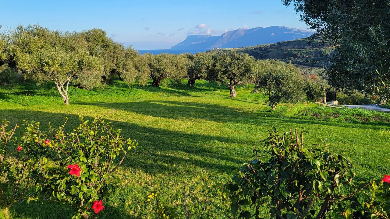 Photo of Outdoor in Kissamos