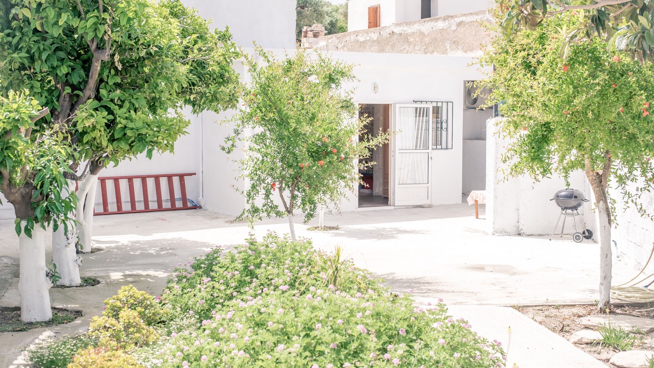 Photo of Outdoor in Kissamos