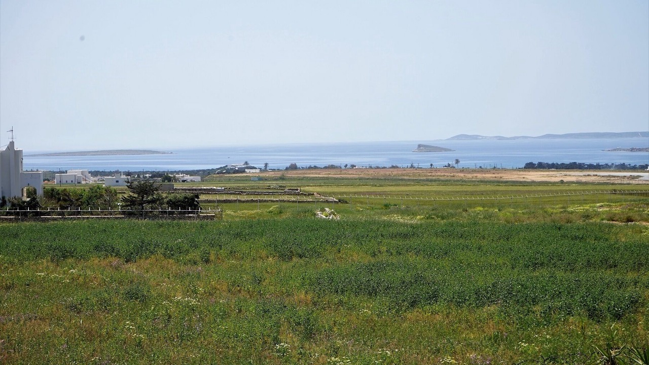 Photo of Others in Paros
