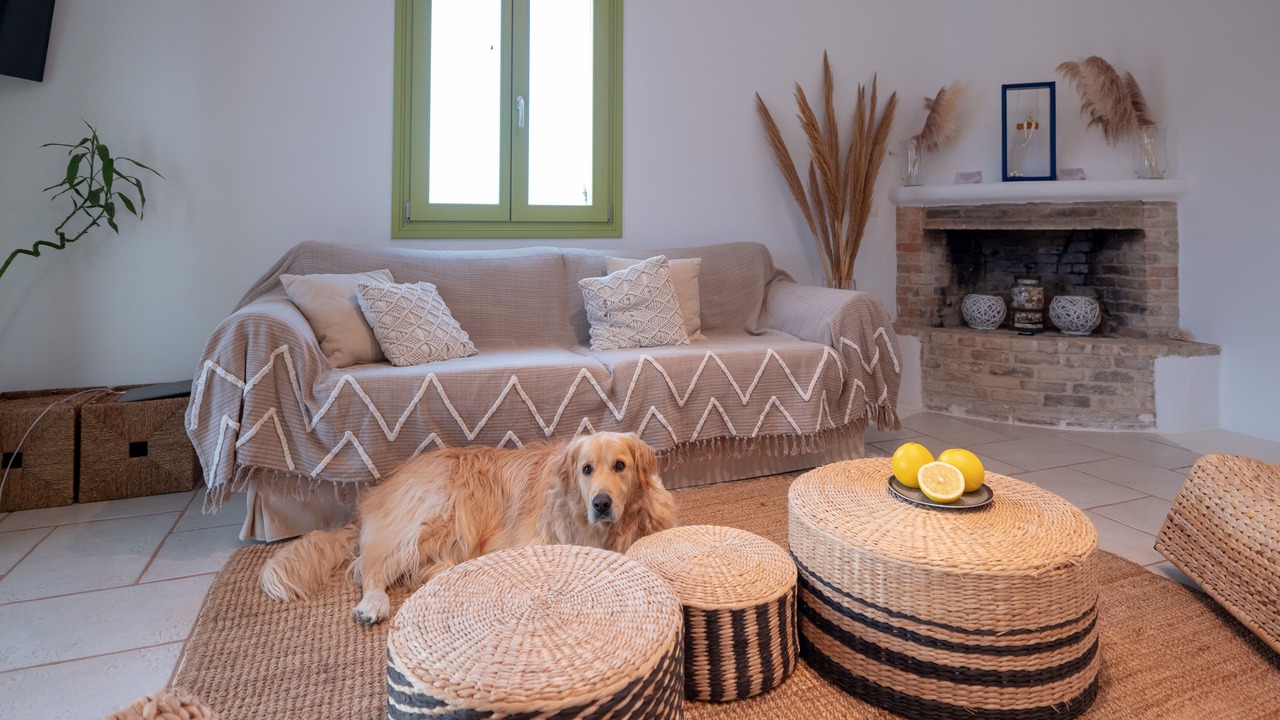 Photo of Livingroom in Marpissa
