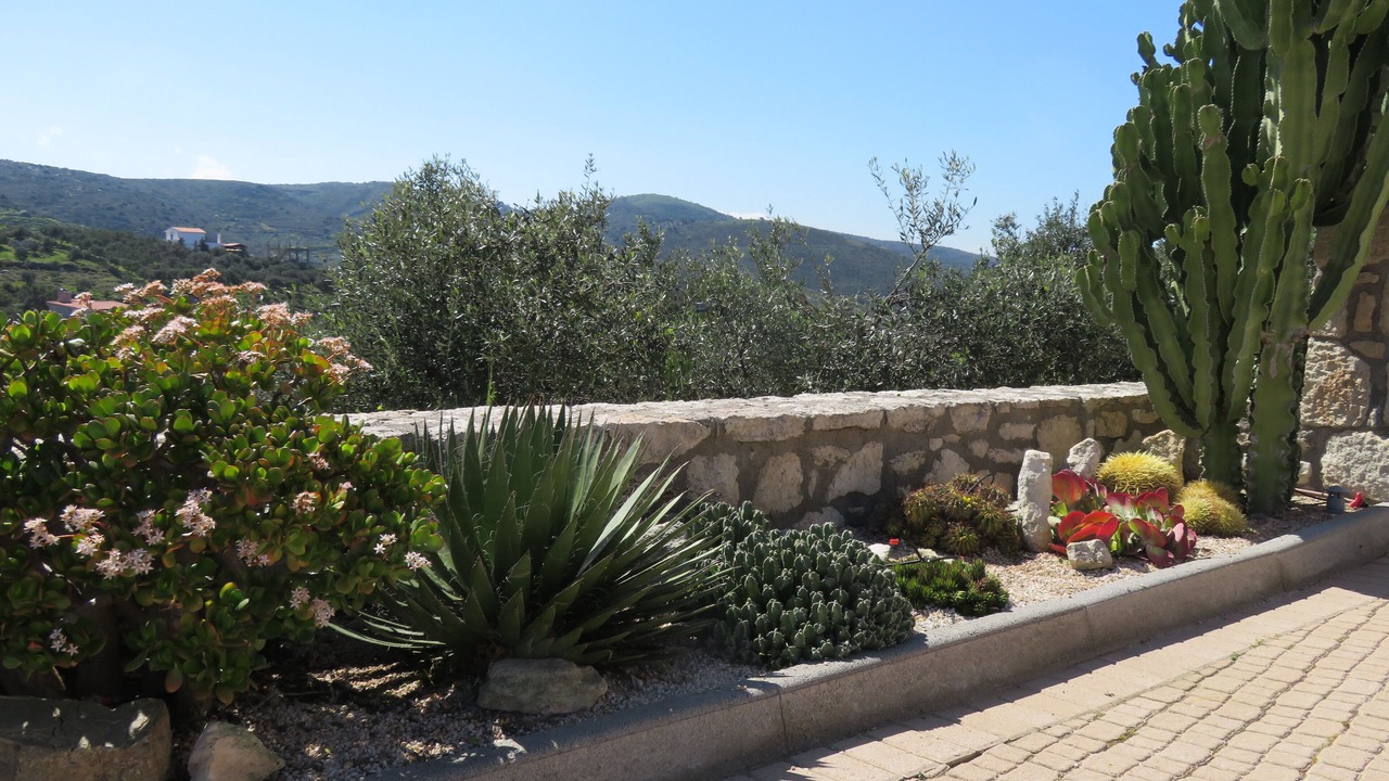 Photo of Outdoor in Pano Chersonissos