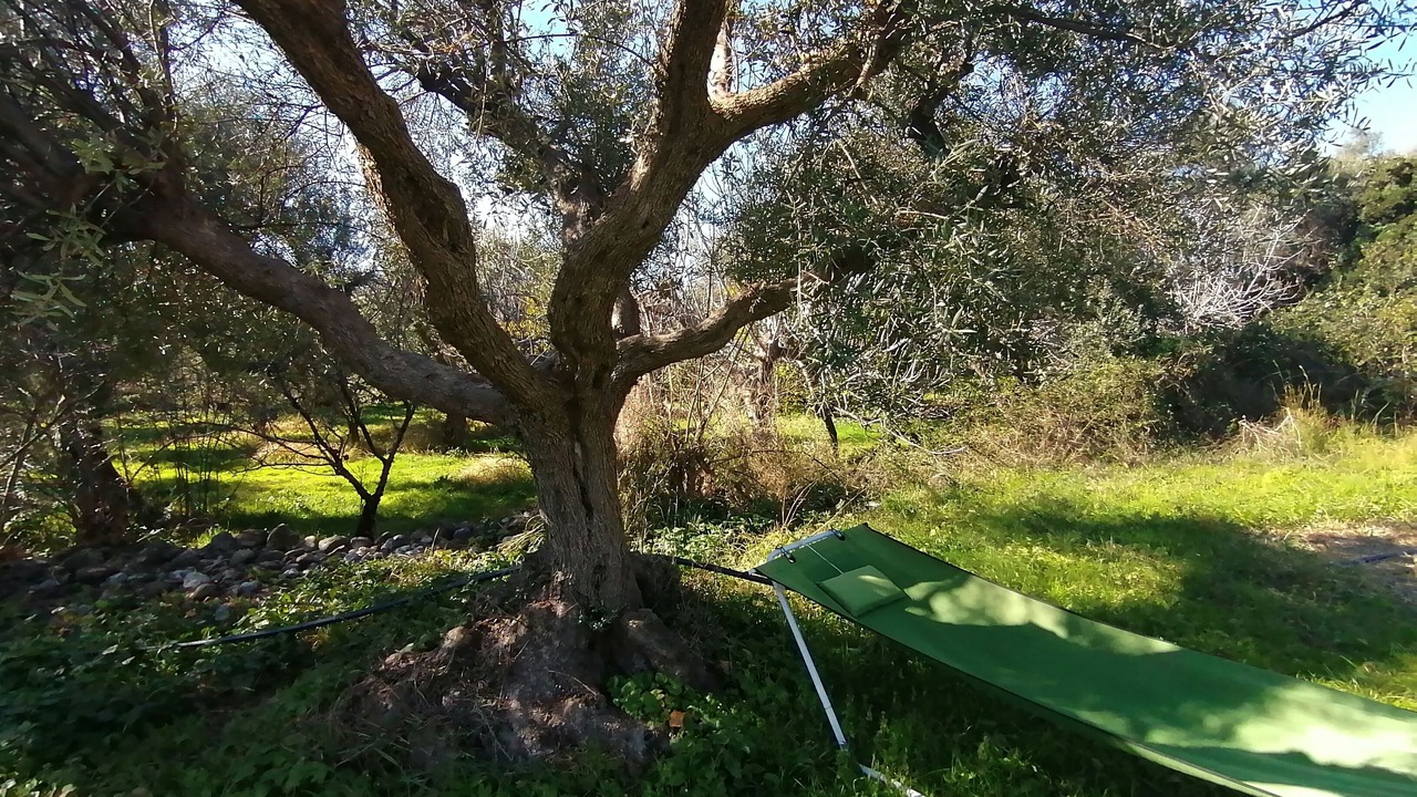Photo of Outdoor in Marathias