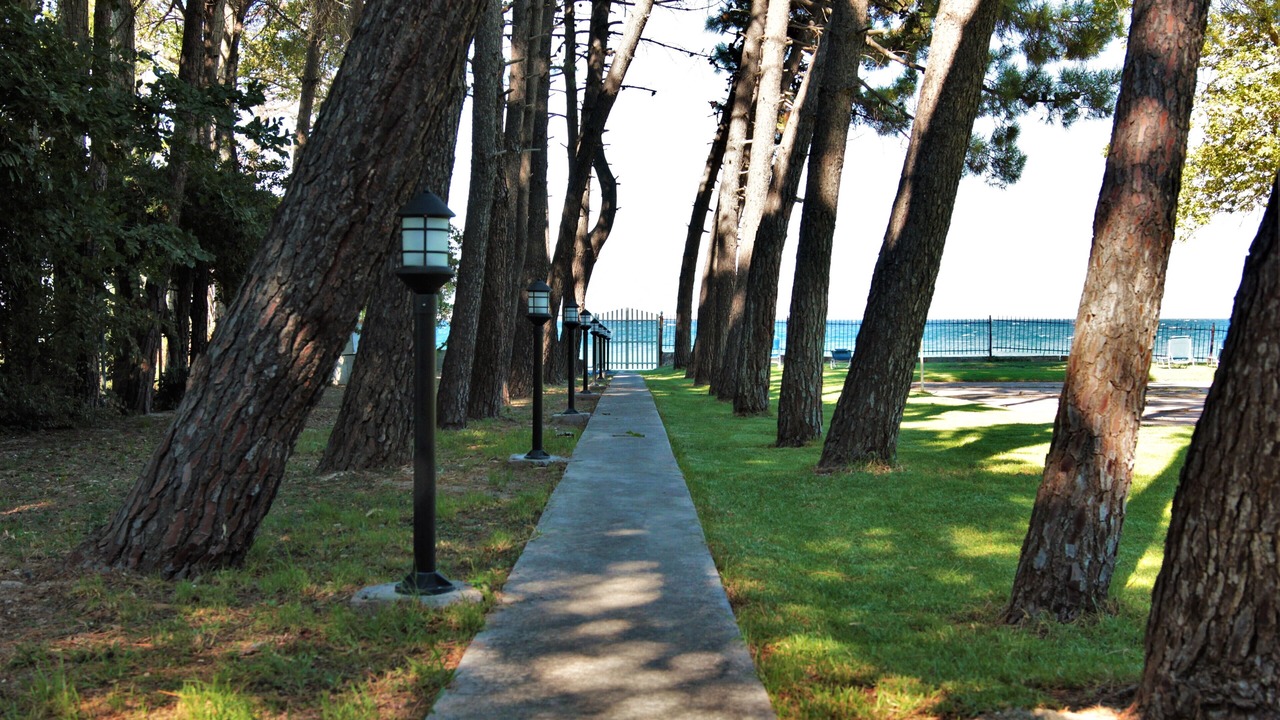 Photo of Outdoor in Longos