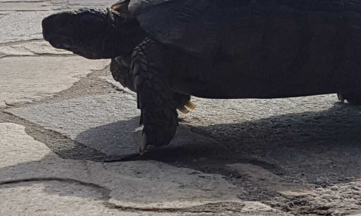 Photo of Others in Agia Marina Mikrolimanou