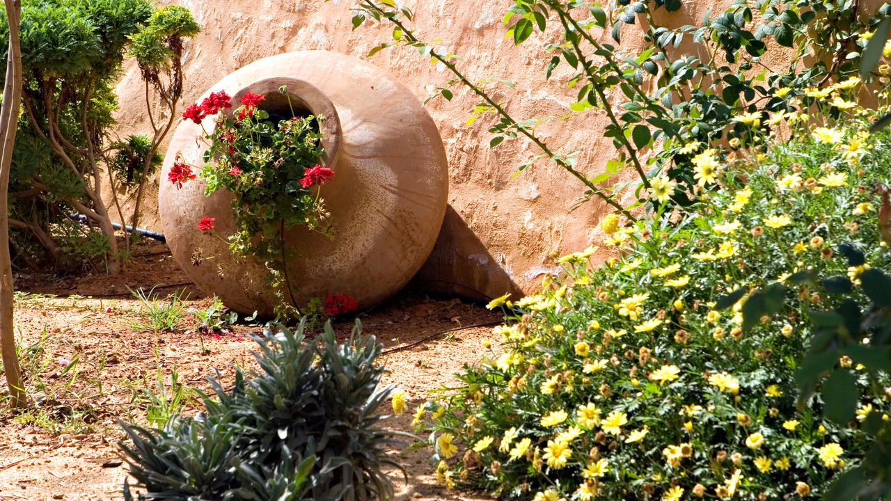 Photo of Outdoor in Gavalochori