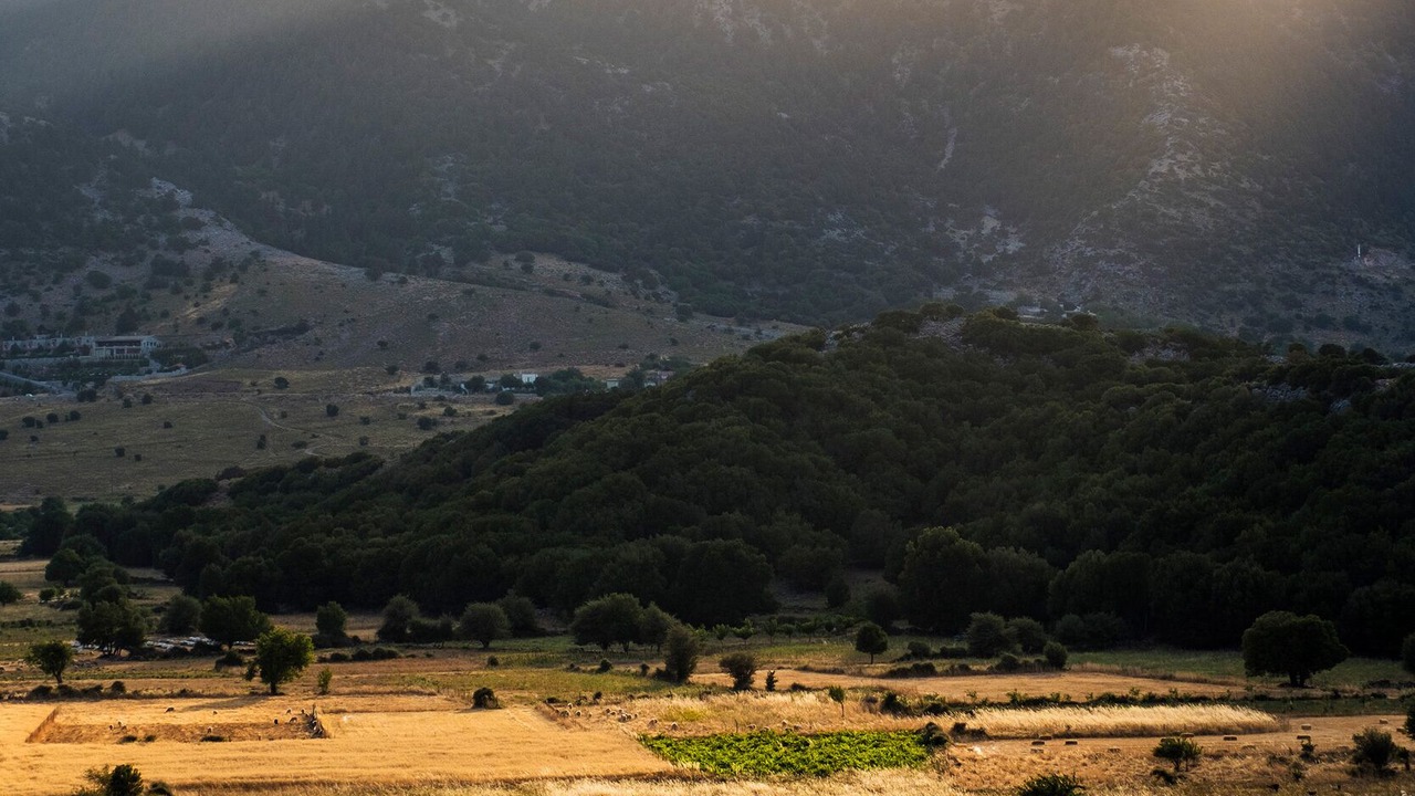 Photo of Others in Goni