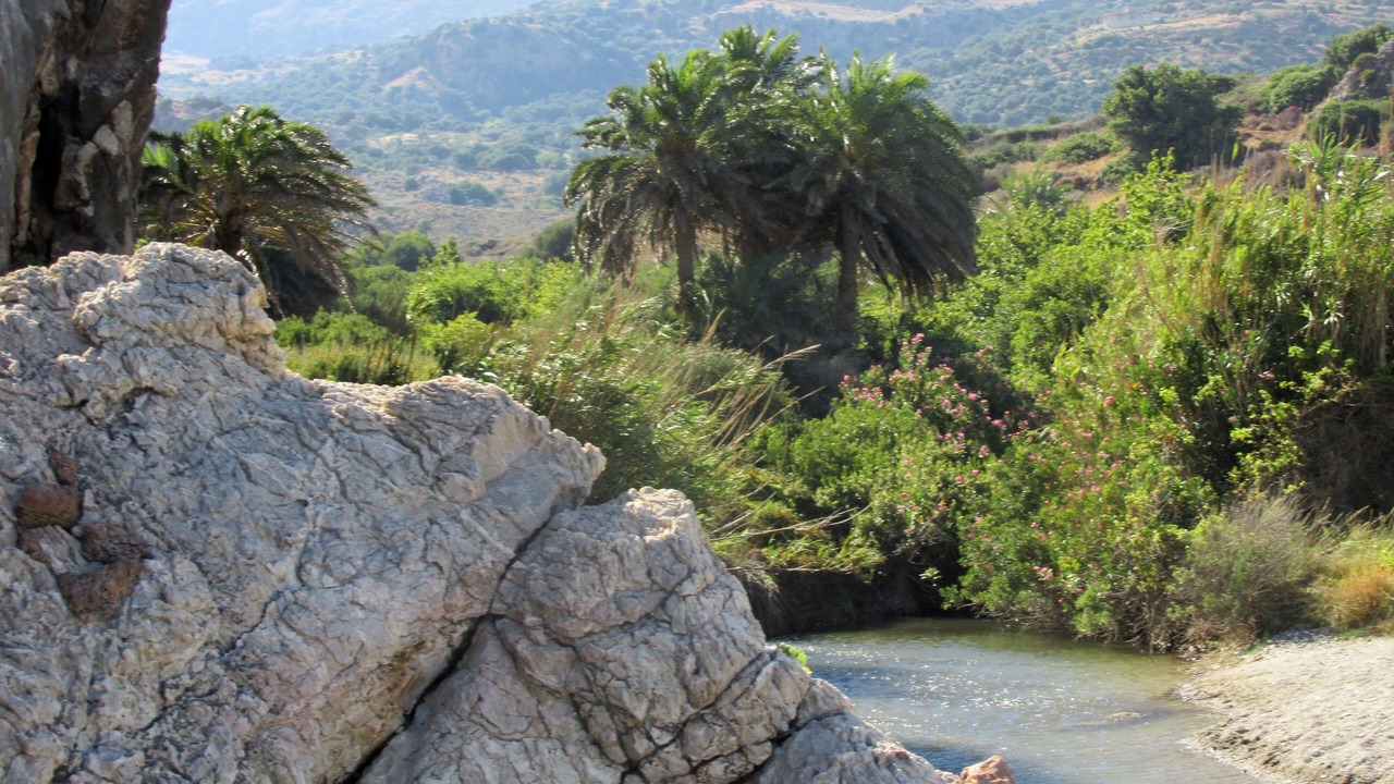 Photo of Outdoor in Agkouseliana