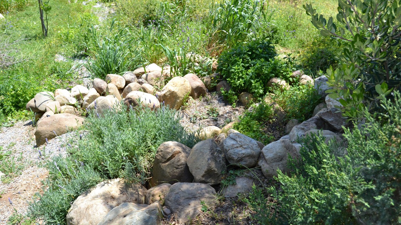Photo of Outdoor in Agkouseliana