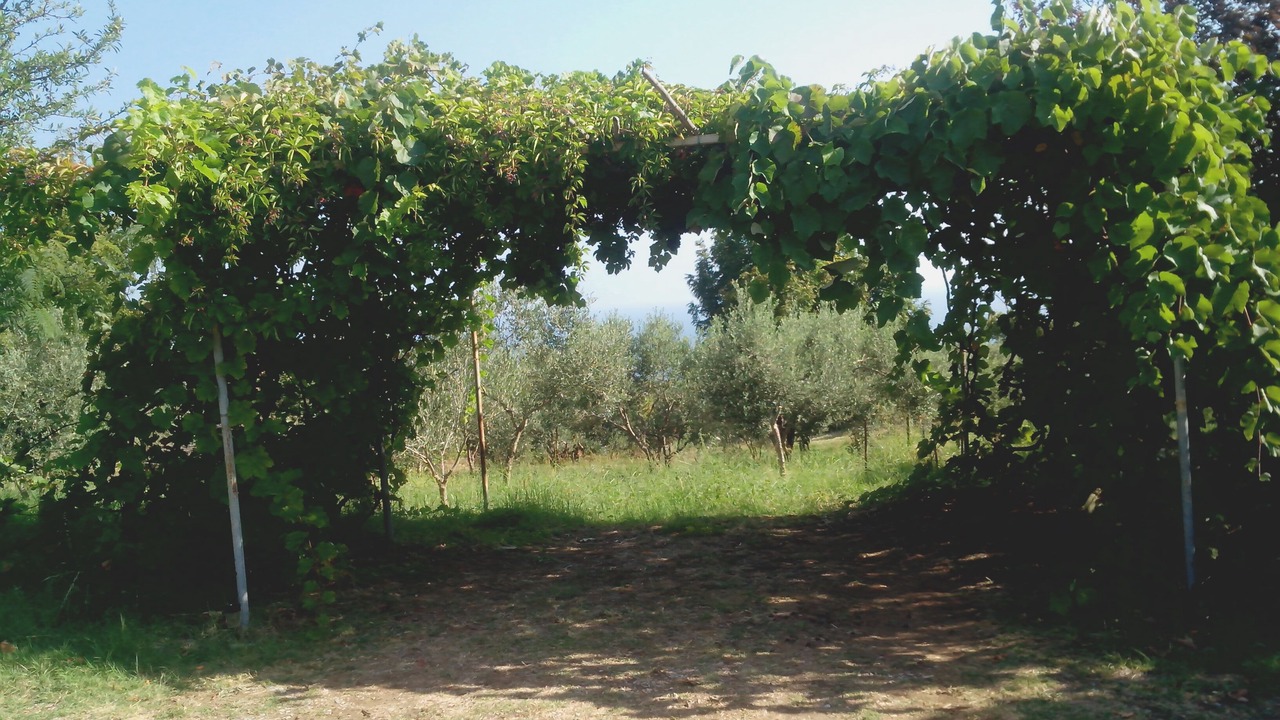 Photo of Outdoor in Xinovrisi