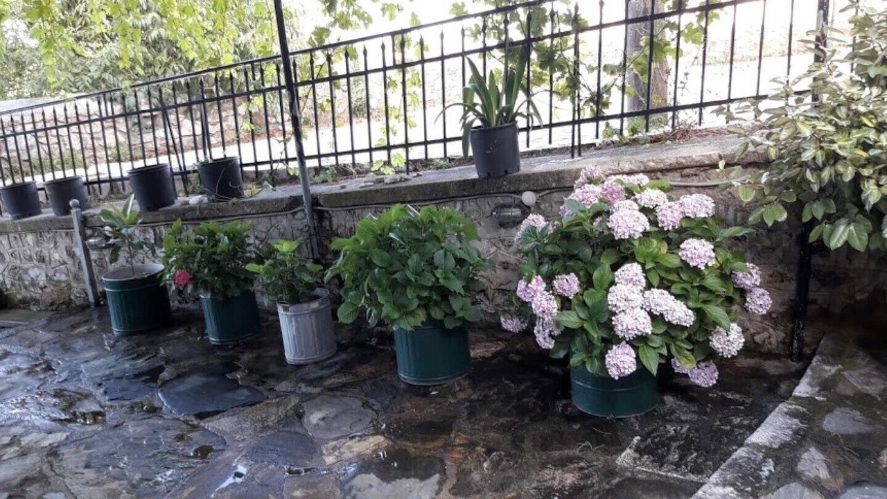 Photo of Outdoor in Tripi
