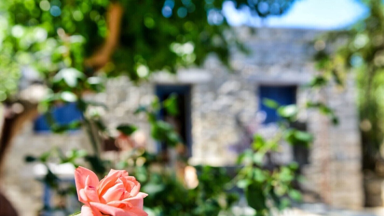 Photo of Outdoor in Ikaria