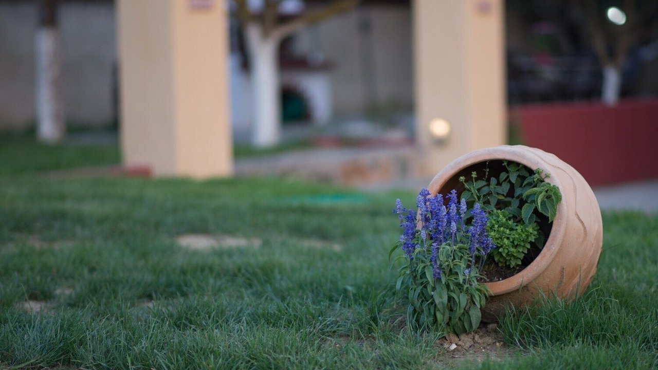 Photo of Outdoor in Kalpaki