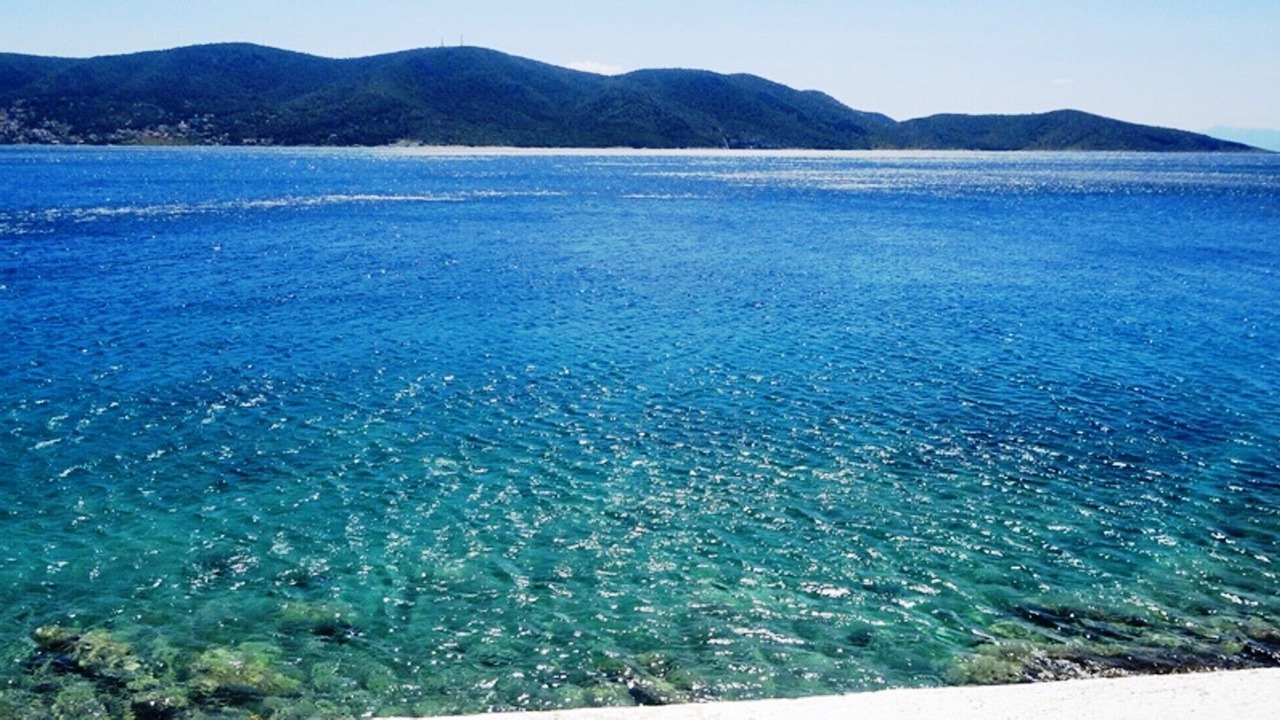Photo of Others in Salamis